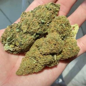 4 oz (QP) outdoor Runtz